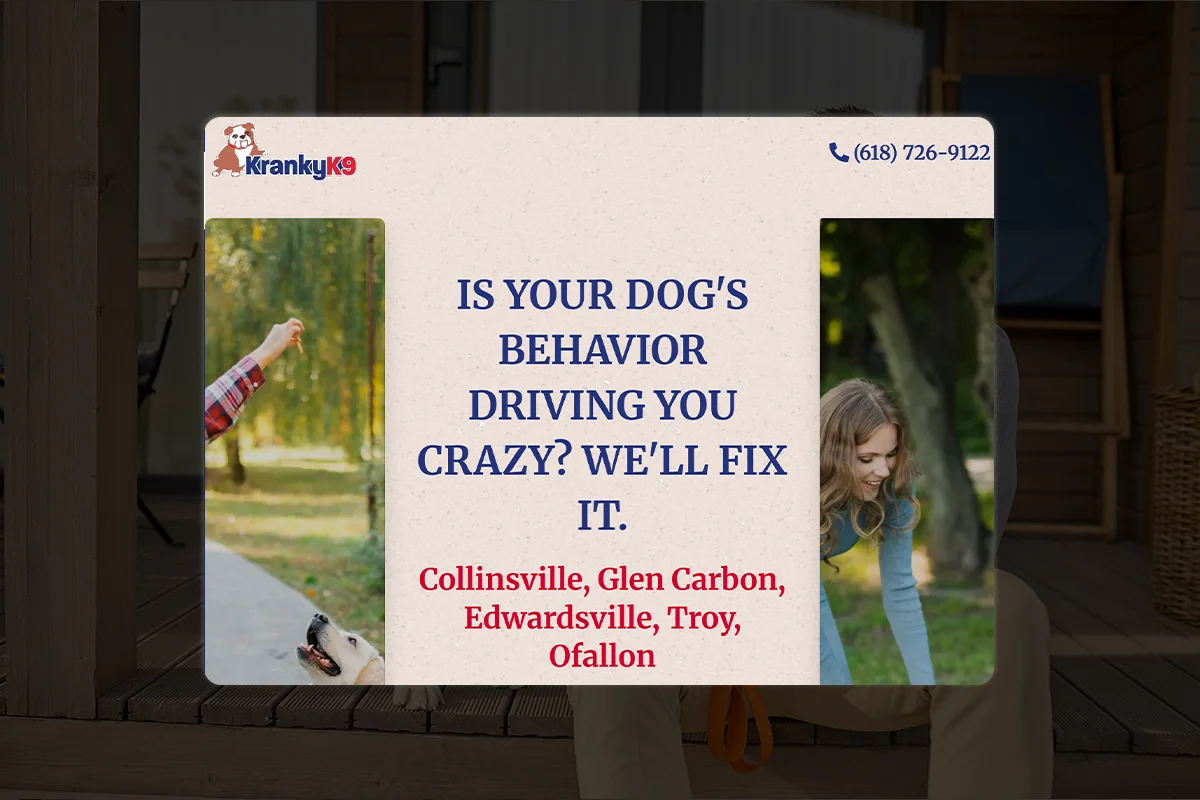 Kranky K9 Dog Training